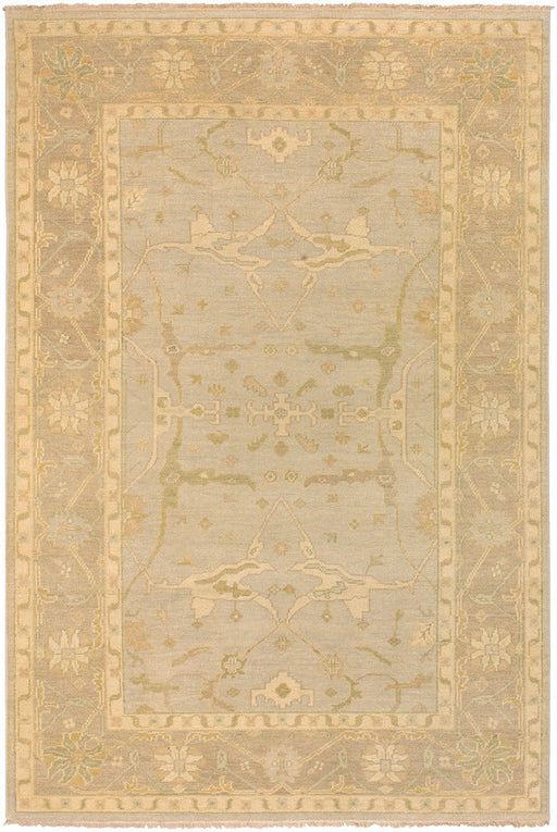 Livabliss Ainsley AIN1000 Grey/Neutral Classic Area Rug