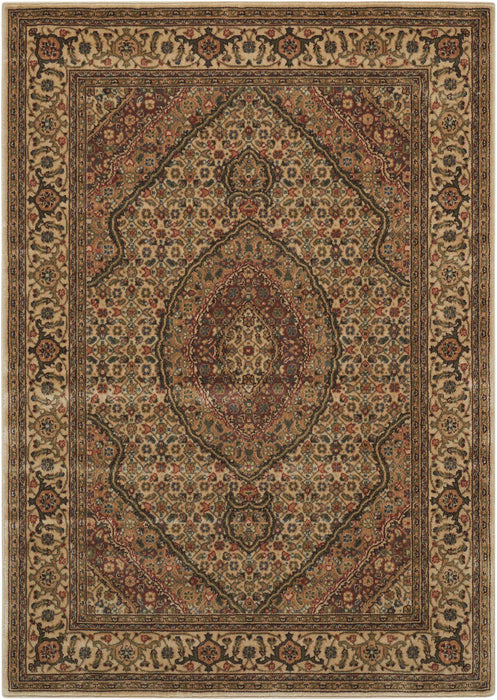 Nourison Persian Arts Ivory Area Rug