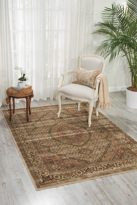 Nourison Persian Arts Ivory Area Rug