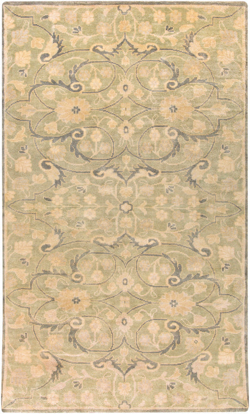 Livabliss Ainsley AIN1013 Green/Brown Classic Area Rug