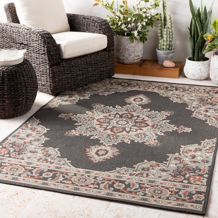 Livabliss Alfresco ALF-9671 Area Rug