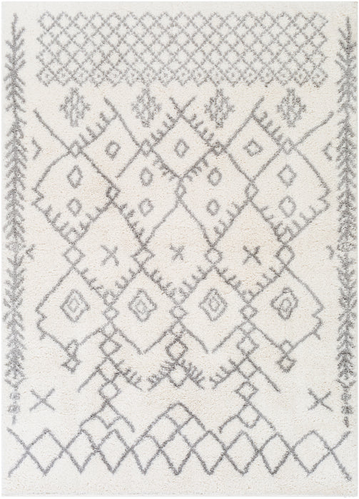 Livabliss Aliyah shag ALH-2315 Area Rug