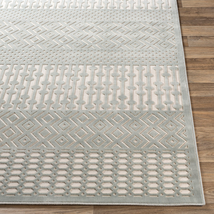 Livabliss Aesop ASP-2304 Area Rug