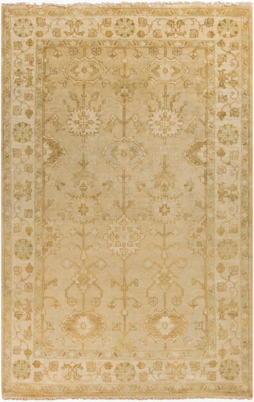 Livabliss Antique ATQ-1003 Traditional Area Rug