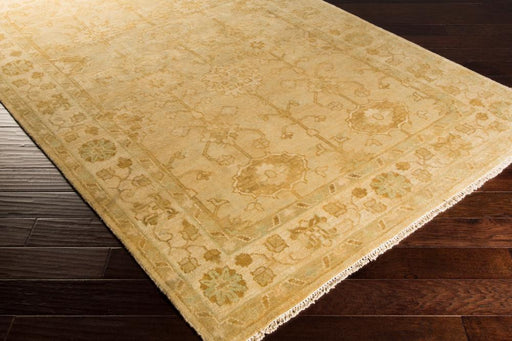 Livabliss Antique ATQ-1003 Traditional Area Rug