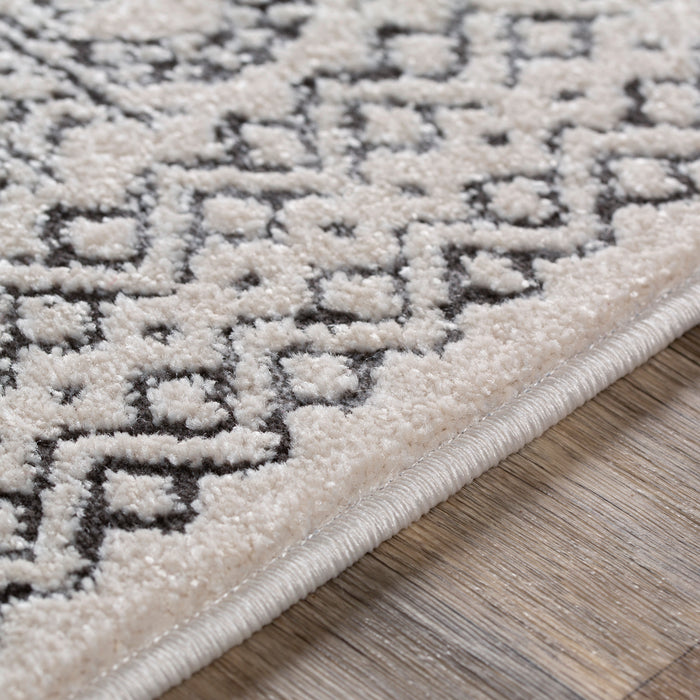 Livabliss Bahar BHR-2327 Area Rug