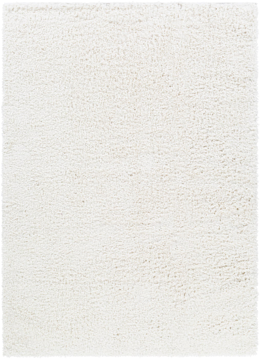 Livabliss California Shag CAF-2306 Area Rug