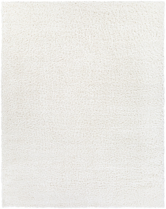 Livabliss California Shag CAF-2306 Area Rug