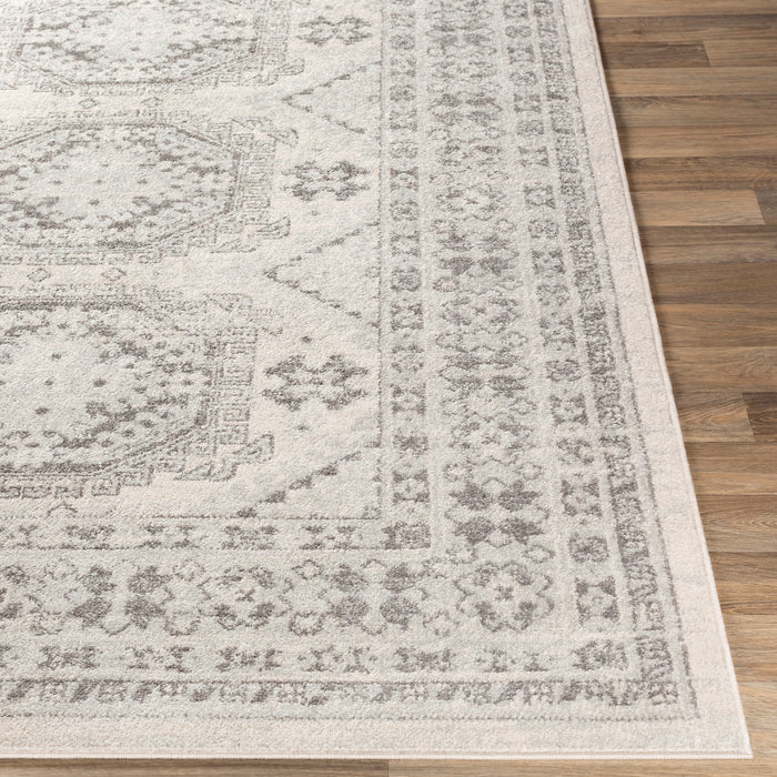 Livabliss Chester CHE-2309 Area Rug