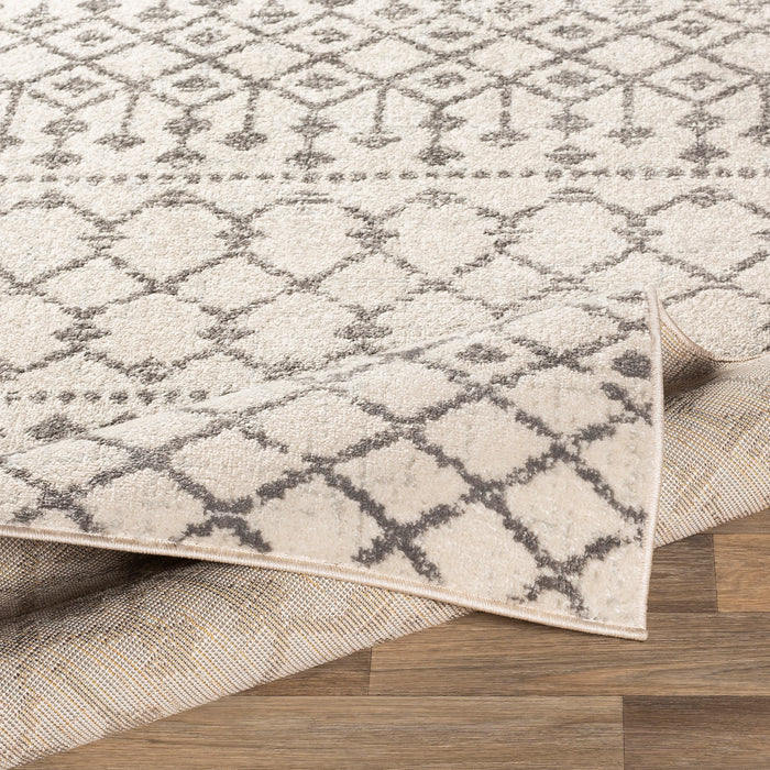 Livabliss Chester CHE-2319 Area Rug