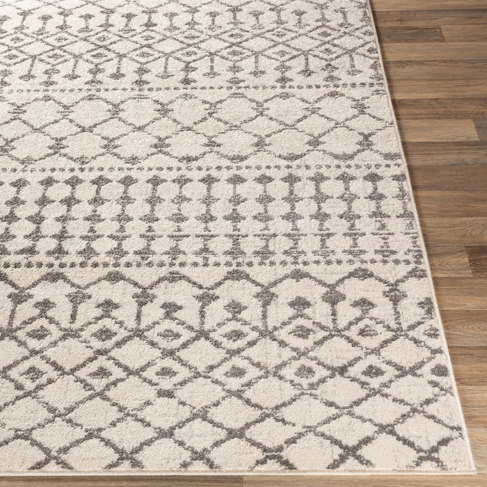 Livabliss Chester CHE-2319 Area Rug