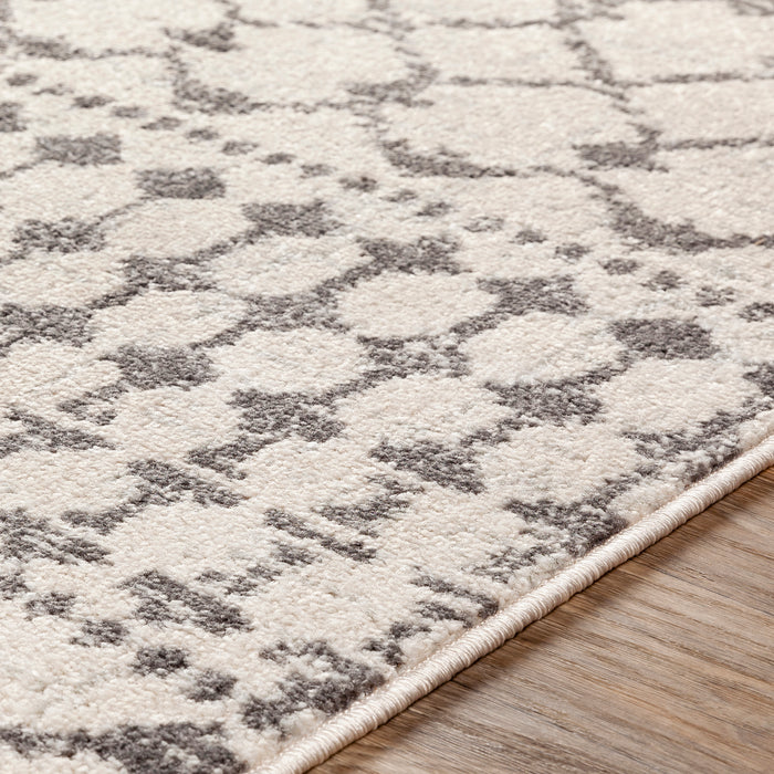 Livabliss Chester CHE-2319 Area Rug