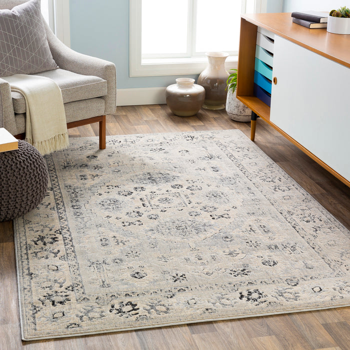 Livabliss City CIT-2365 Area Rug