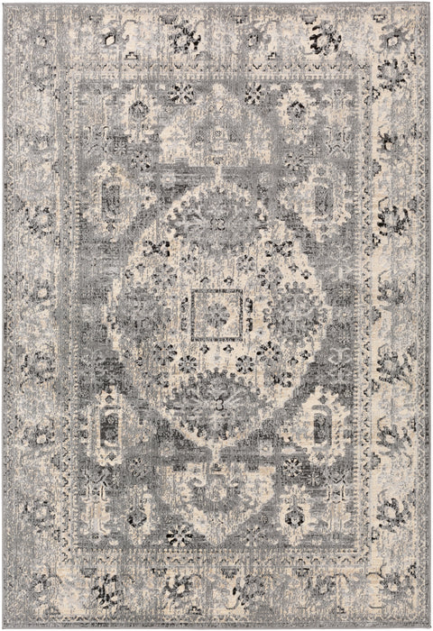 Livabliss City CIT-2379 Area Rug