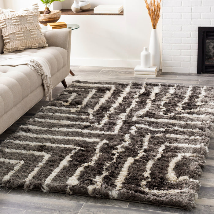 Livabliss Corsair CSR-1005 Area Rug