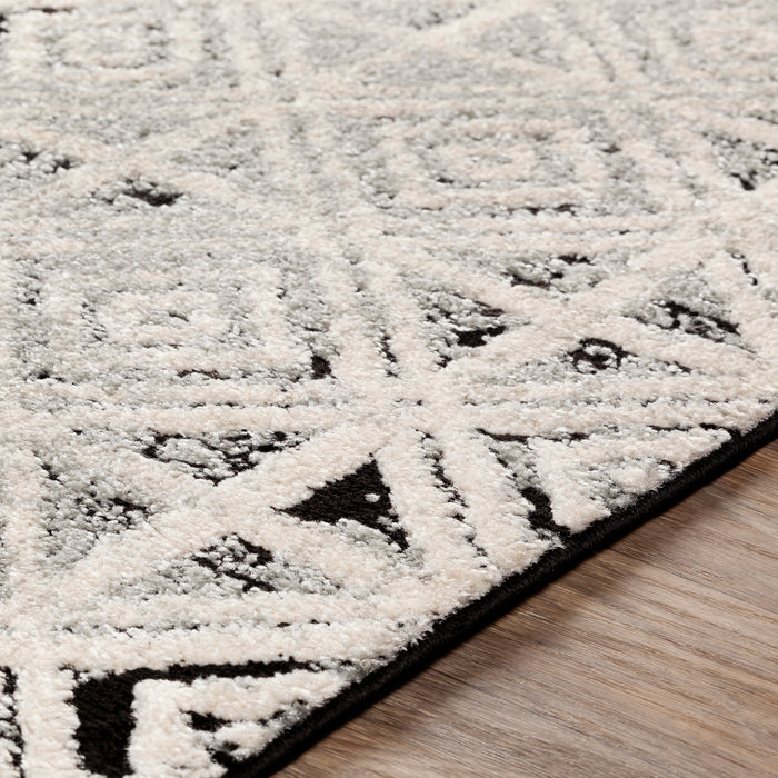 Livabliss Dersim DSM-2305 Area Rug