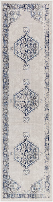 Livabliss Dublin DUB-2306 Area Rug