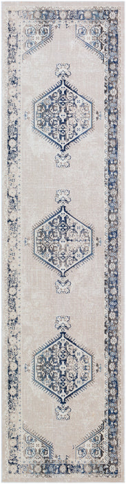 Livabliss Dublin DUB-2306 Area Rug