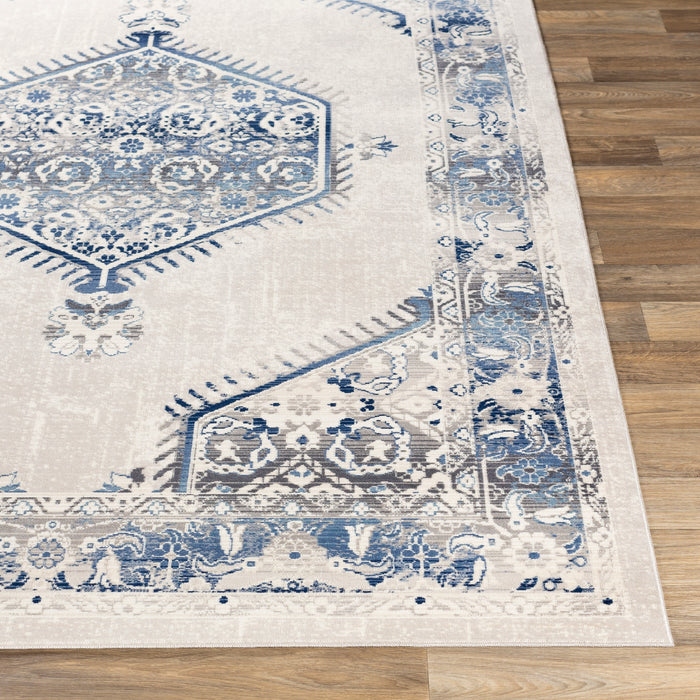 Livabliss Dublin DUB-2306 Area Rug