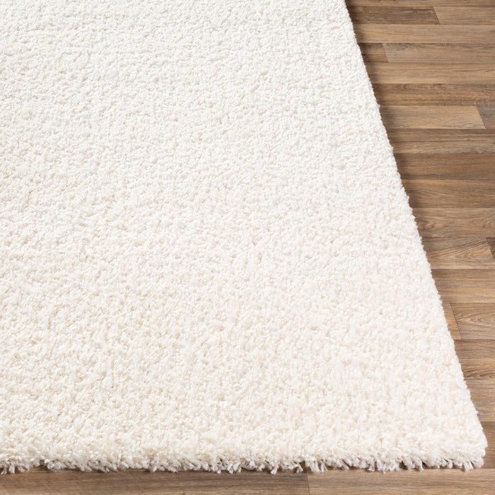 Livabliss Deluxe Shag DXS-2300 Area Rug