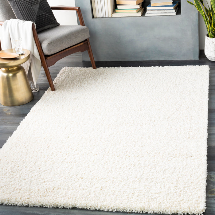 Livabliss Deluxe Shag DXS-2300 Area Rug