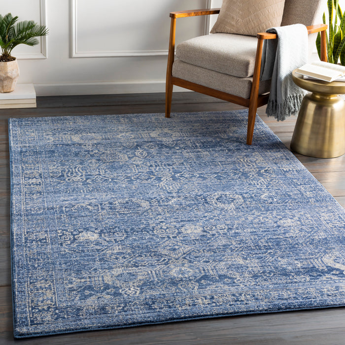 Livabliss Indigo IGO-2300 Area Rug