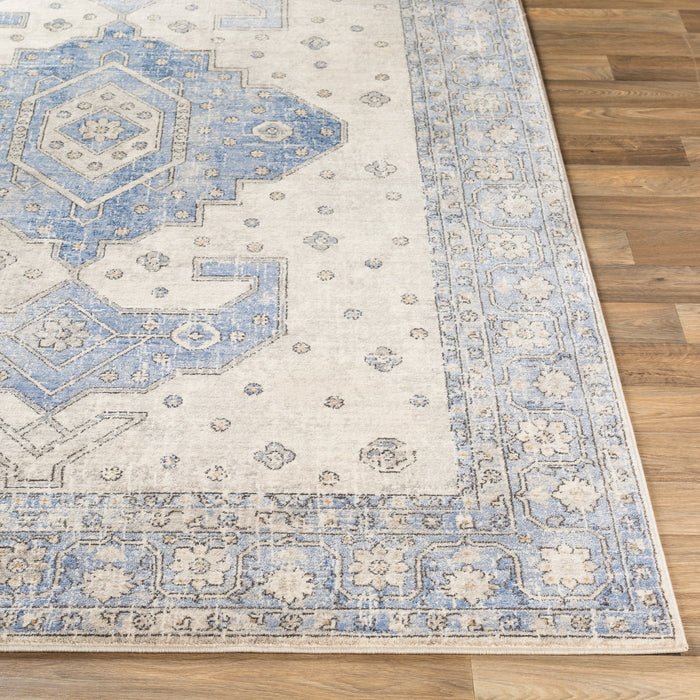 Livabliss Indigo IGO-2325 Area Rug