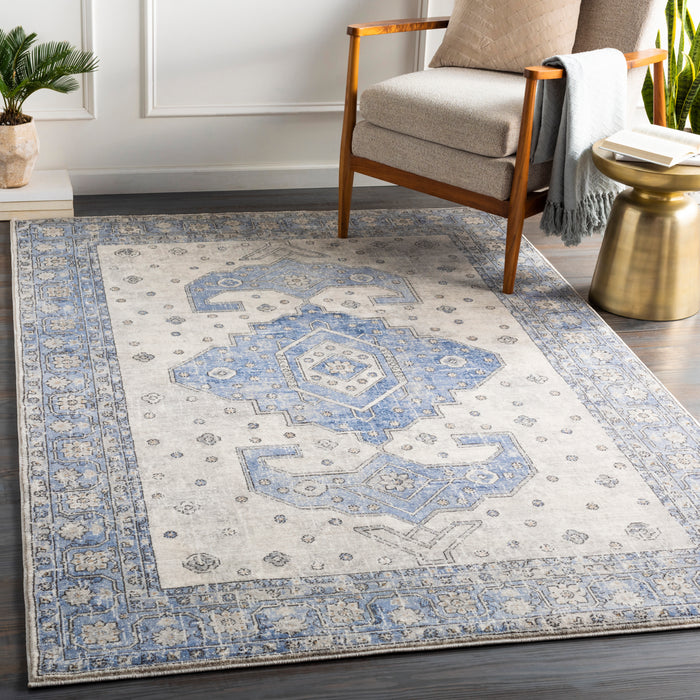 Livabliss Indigo IGO-2325 Area Rug