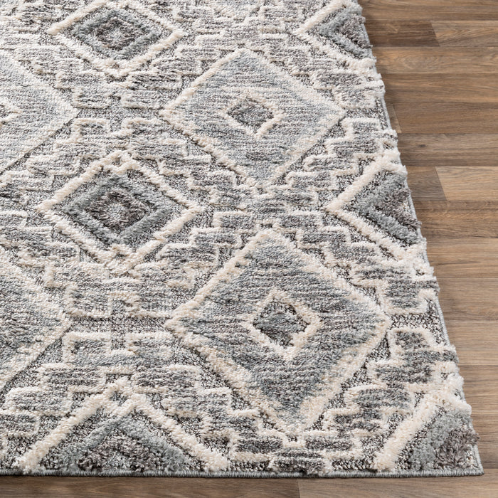 Livabliss La Maison LMS-2304 Area Rug