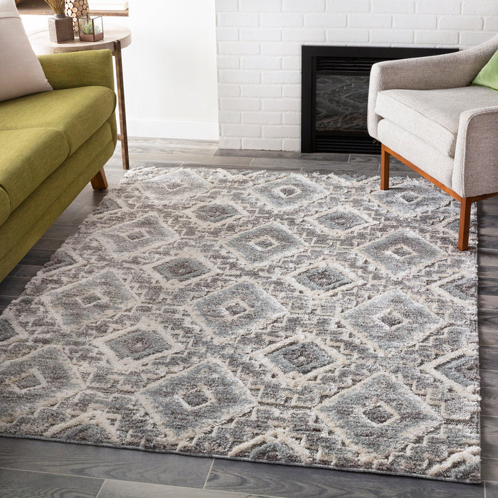 Livabliss La Maison LMS-2304 Area Rug