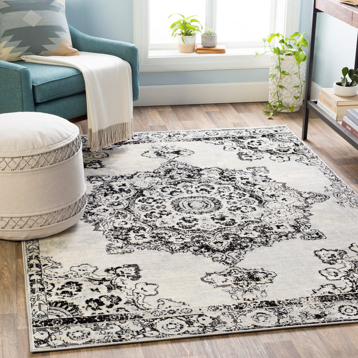 Livabliss Monaco MOC-2302 Area Rug