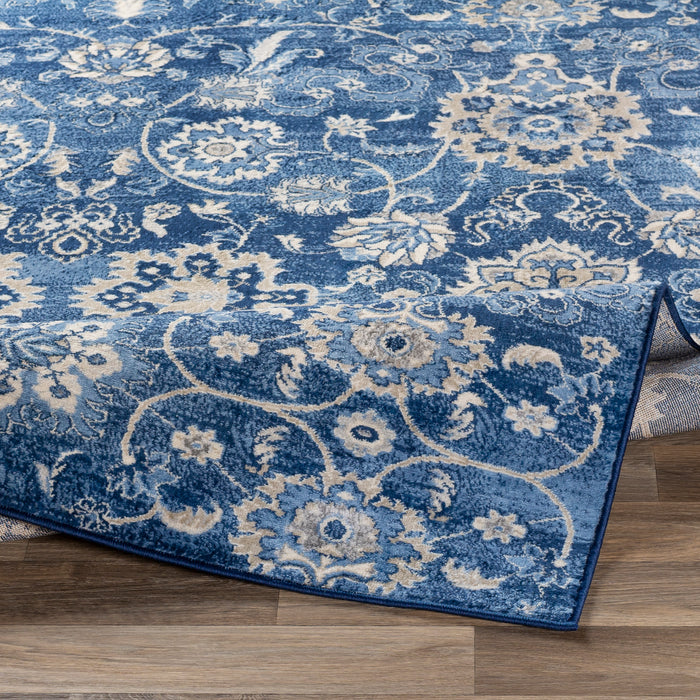 Livabliss Monaco MOC-2307 Area Rug