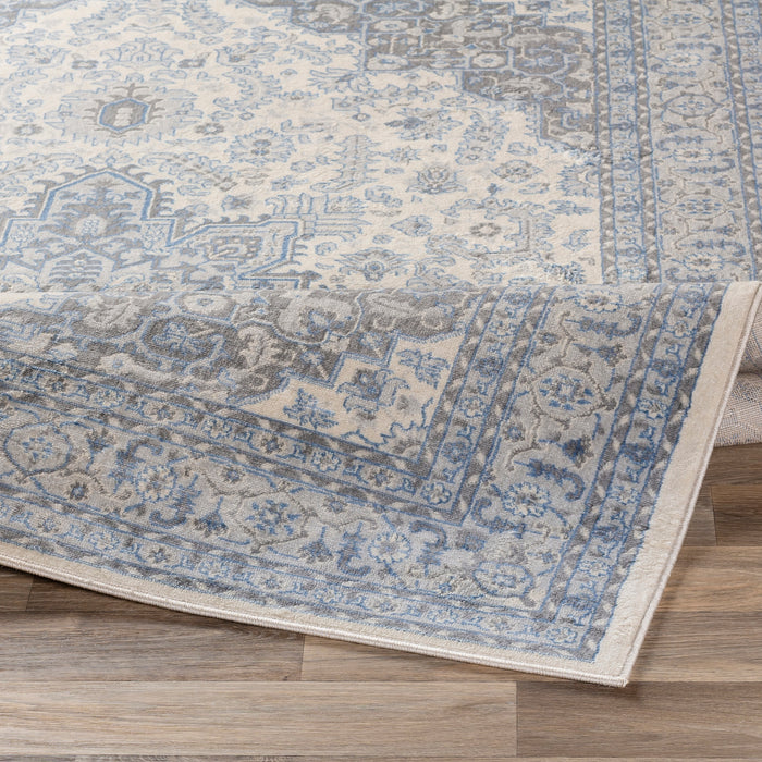 Livabliss Monaco MOC-2313 Area Rug