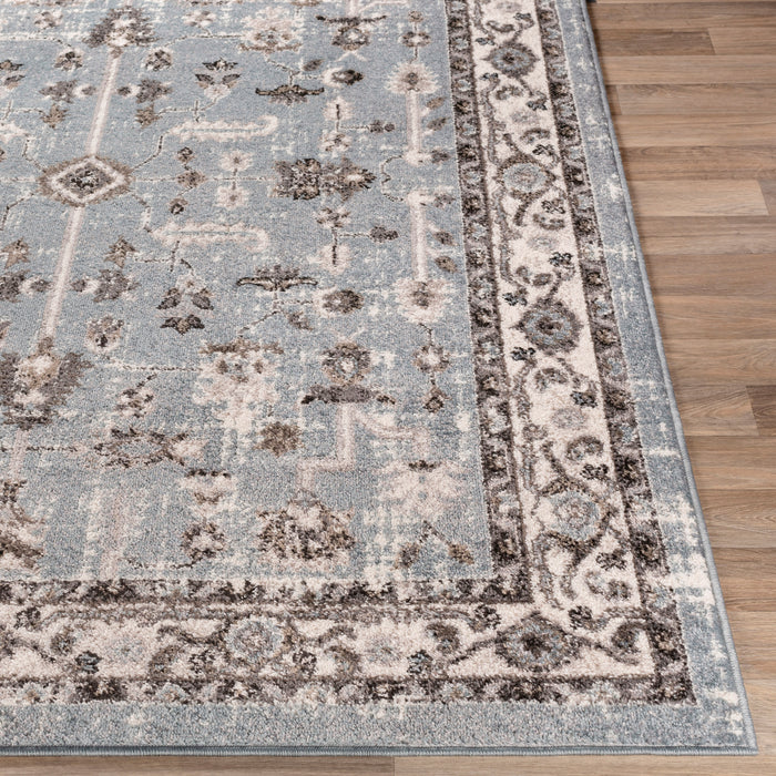 Livabliss Norwich NWC-2315 Area Rug