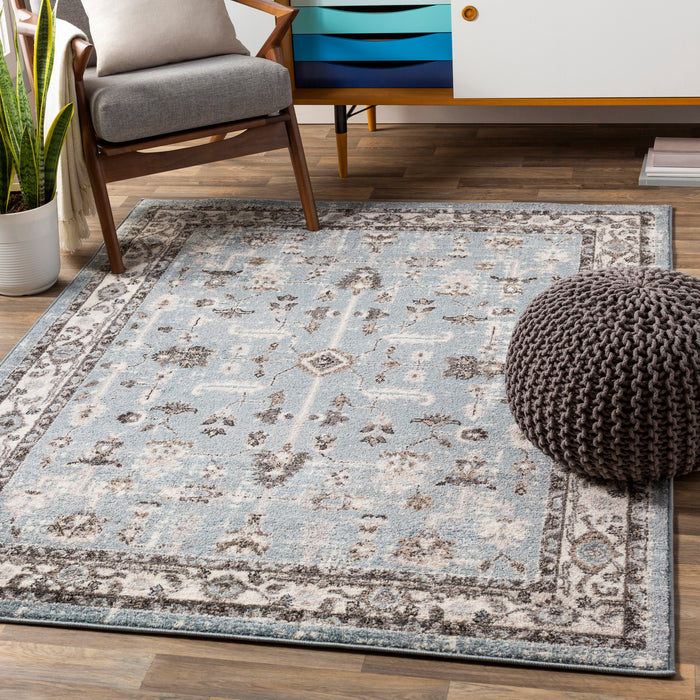 Livabliss Norwich NWC-2315 Area Rug