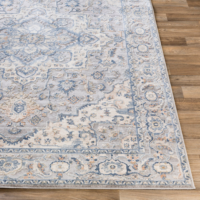 Livabliss Colmar OLM-2300 Area Rug