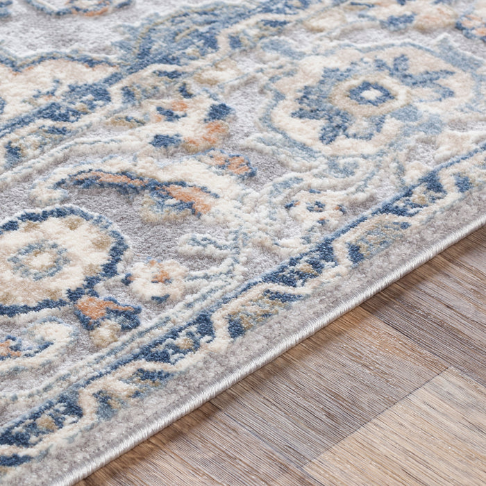 Livabliss Colmar OLM-2300 Area Rug