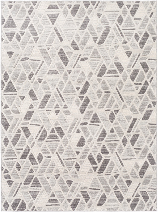 Livabliss Remy RMY-2309 Area Rug