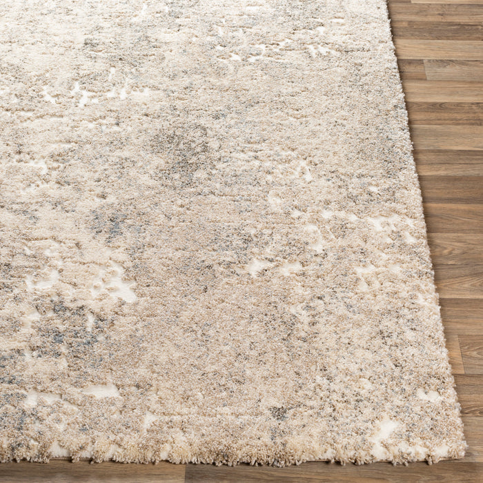 Livabliss Tuscany TUS-2304 Area Rug