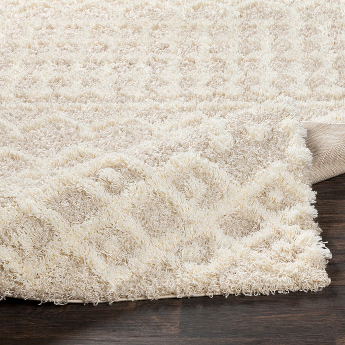 Livabliss Urban Shag USG-2303 Area Rug