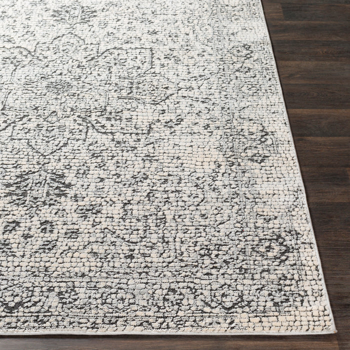 Livabliss Venezia VNZ-2309 Area Rug