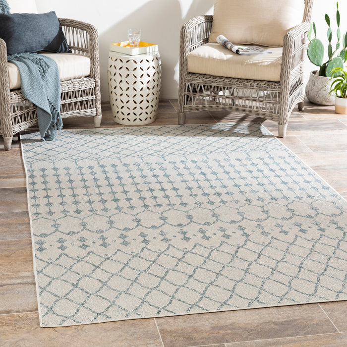 Livabliss Veranda VRD-2306 Area Rug