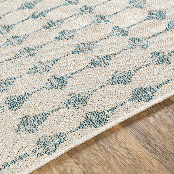 Livabliss Veranda VRD-2306 Area Rug